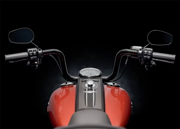 Road King™ Special – Image 4