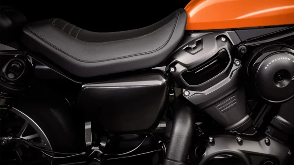 Nightster™ Special – Image 6